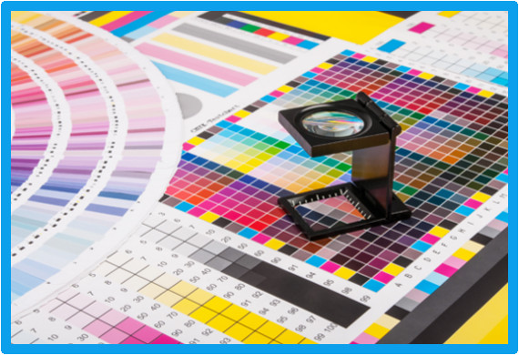 Welcome to Shine Enterprises